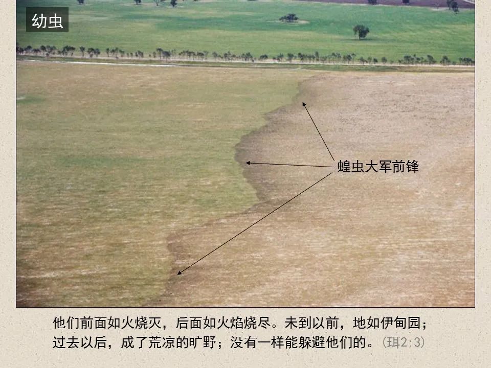 圣经图表——《约珥书》(图37) 圣经图表——《约珥书》(图37)