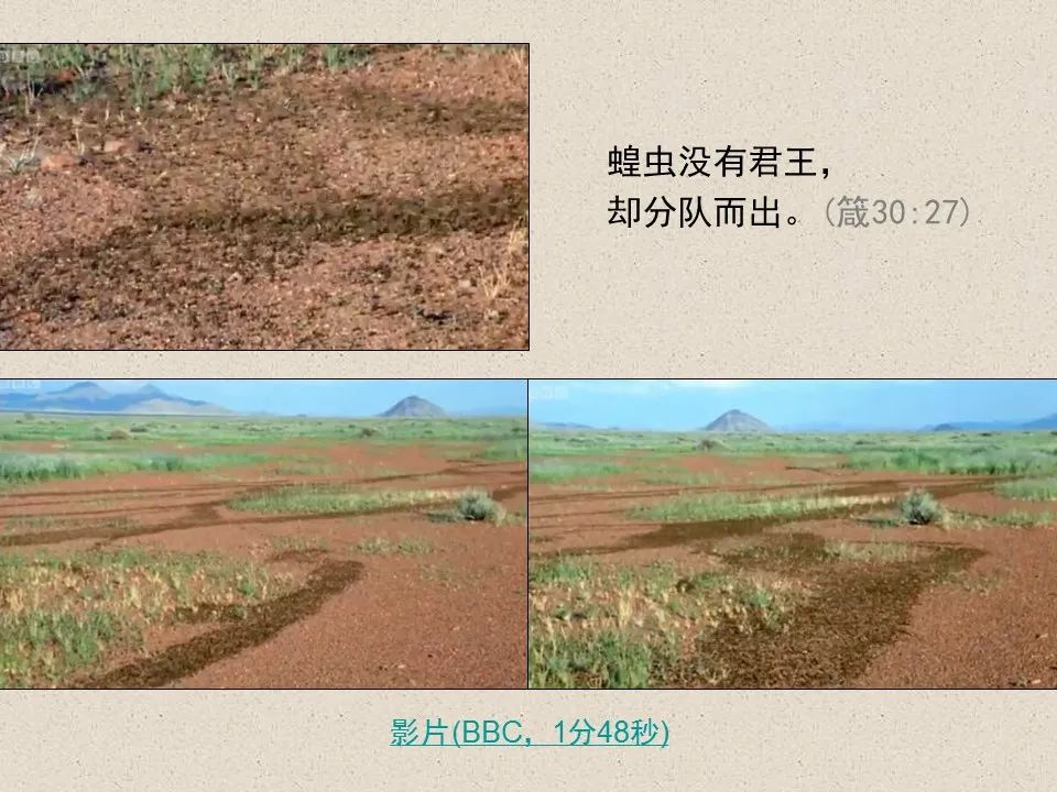 圣经图表——《约珥书》(图45) 圣经图表——《约珥书》(图45)