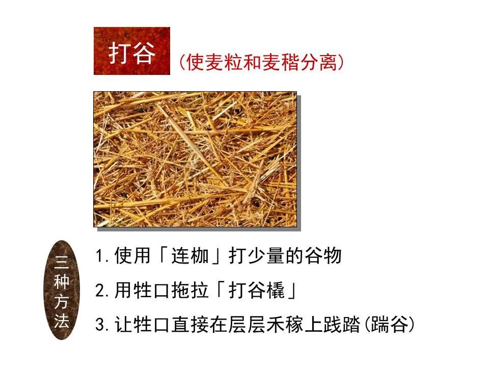 圣经图表——《何西阿书》(图31) 圣经图表——《何西阿书》(图31)