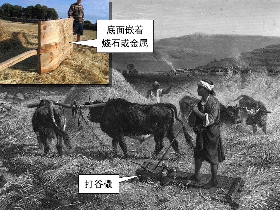 圣经图表——《何西阿书》(图32) 圣经图表——《何西阿书》(图32)