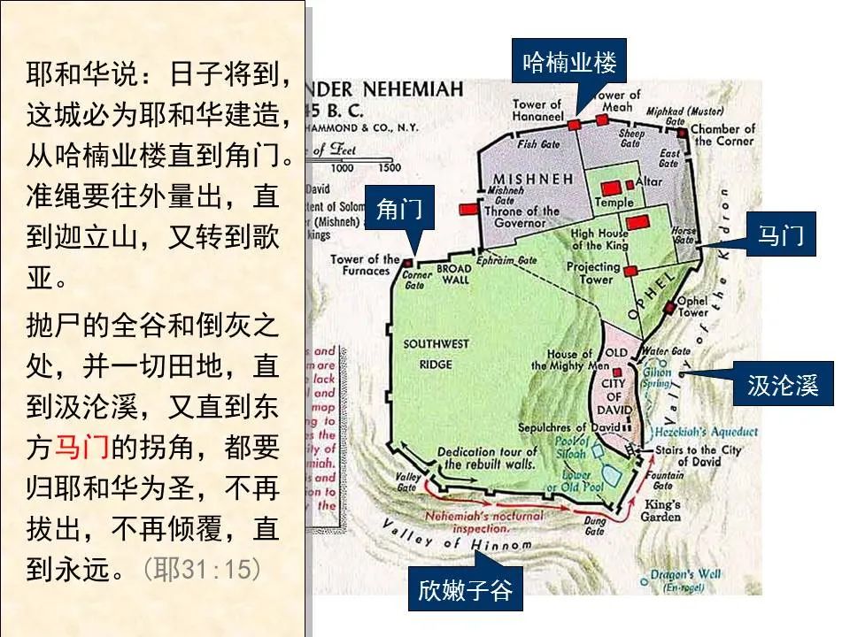 圣经图表——《耶利米书》下(图22) 圣经图表——《耶利米书》下(图22)