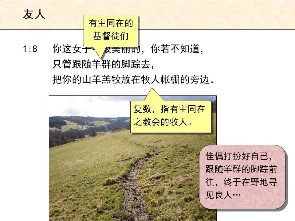 圣经图表——《雅歌》(图7) 圣经图表——《雅歌》(图7)