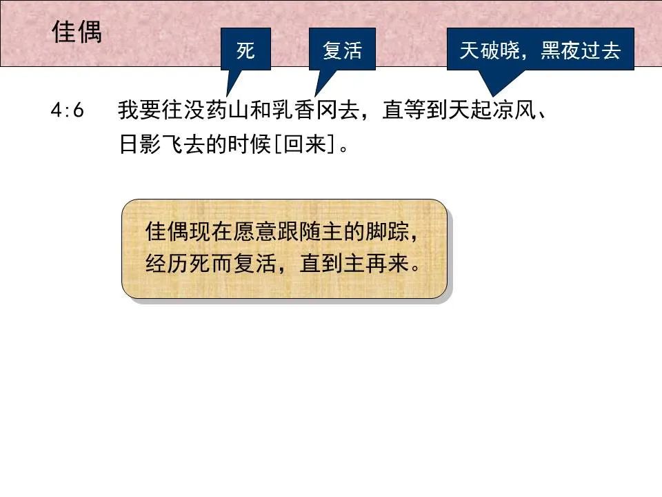 圣经图表——《雅歌》(图31) 圣经图表——《雅歌》(图31)