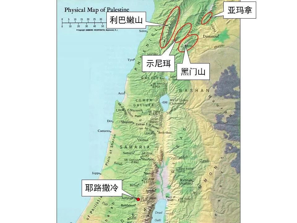 圣经图表——《雅歌》(图33) 圣经图表——《雅歌》(图33)