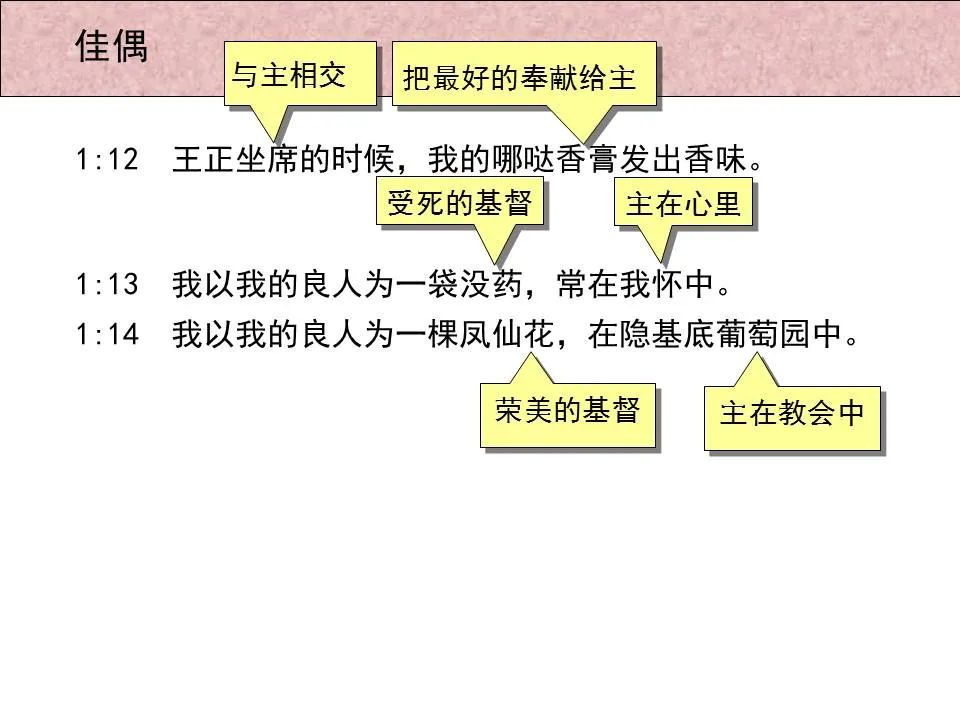 圣经图表——《雅歌》(图11) 圣经图表——《雅歌》(图11)