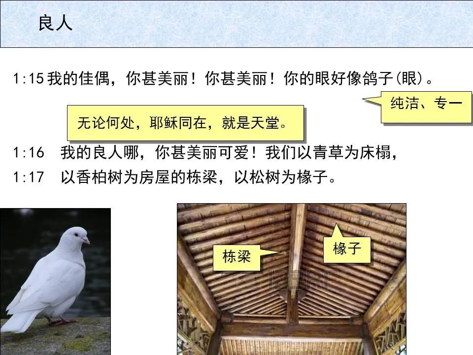 圣经图表——《雅歌》(图12) 圣经图表——《雅歌》(图12)