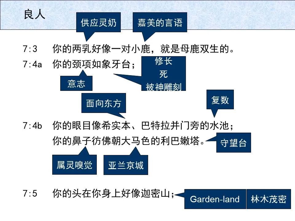 圣经图表——《雅歌》(图60) 圣经图表——《雅歌》(图60)