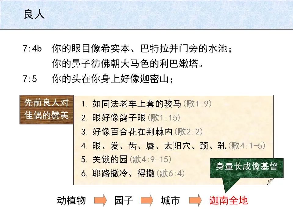 圣经图表——《雅歌》(图62) 圣经图表——《雅歌》(图62)
