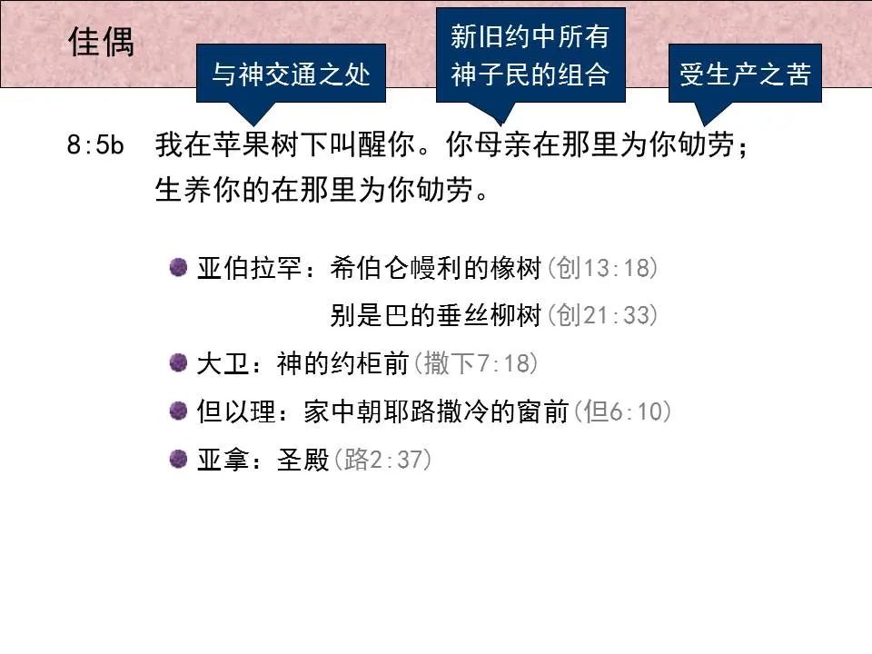 圣经图表——《雅歌》(图70) 圣经图表——《雅歌》(图70)
