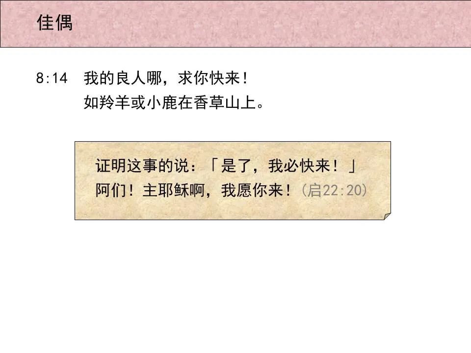 圣经图表——《雅歌》(图76) 圣经图表——《雅歌》(图76)