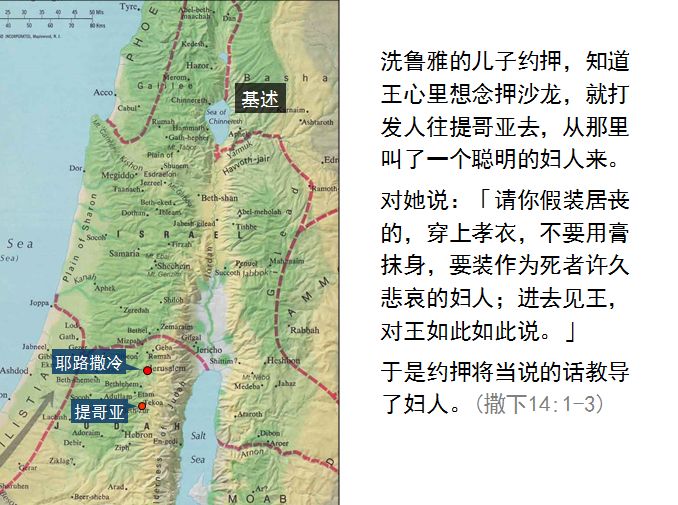 旧约圣经图表——撒母耳记下(图21) 旧约圣经图表——撒母耳记下(图21)