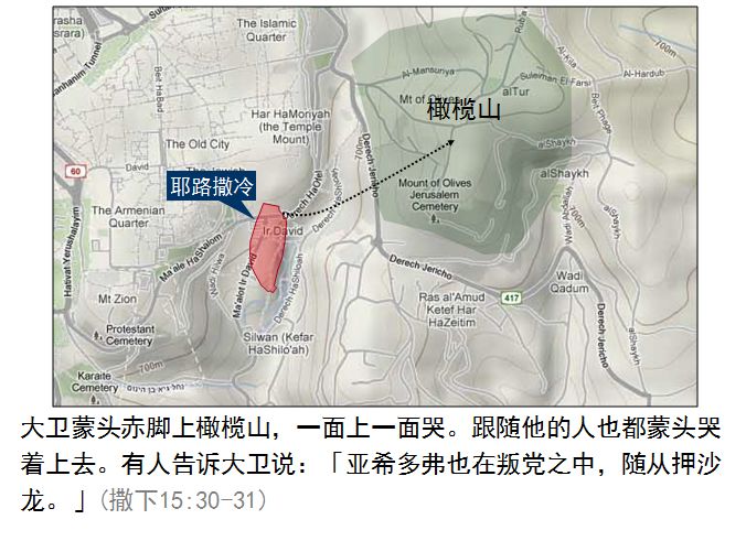 旧约圣经图表——撒母耳记下(图24) 旧约圣经图表——撒母耳记下(图24)