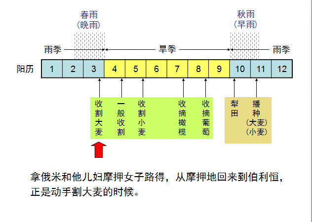 旧约圣经图表——路得记(图9) 旧约圣经图表——路得记(图9)