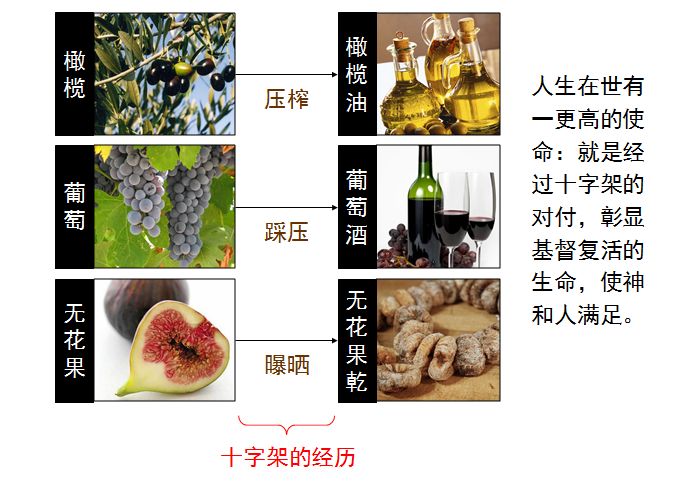 旧约圣经图表——士师记(图27) 旧约圣经图表——士师记(图27)