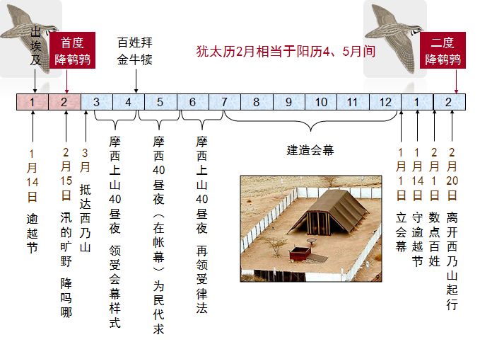 旧约圣经图表——民数记(图18) 旧约圣经图表——民数记(图18)