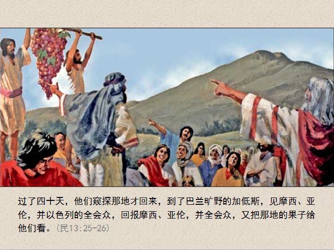 旧约圣经图表——民数记(图22) 旧约圣经图表——民数记(图22)