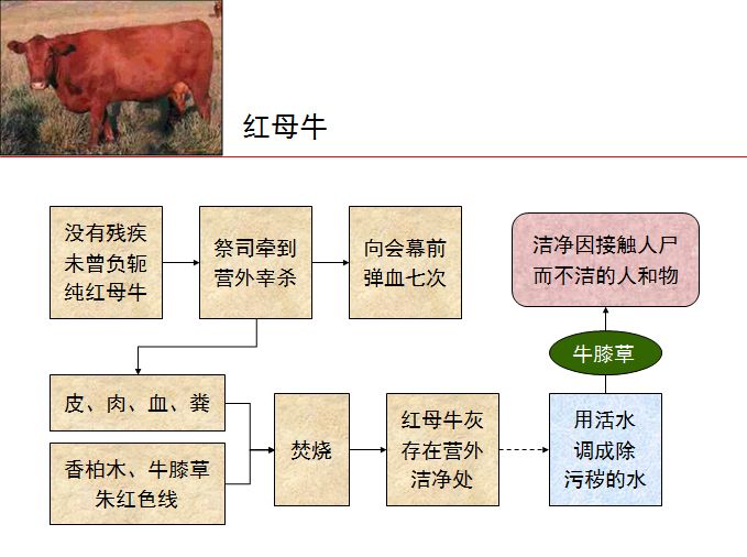 旧约圣经图表——民数记(图36) 旧约圣经图表——民数记(图36)