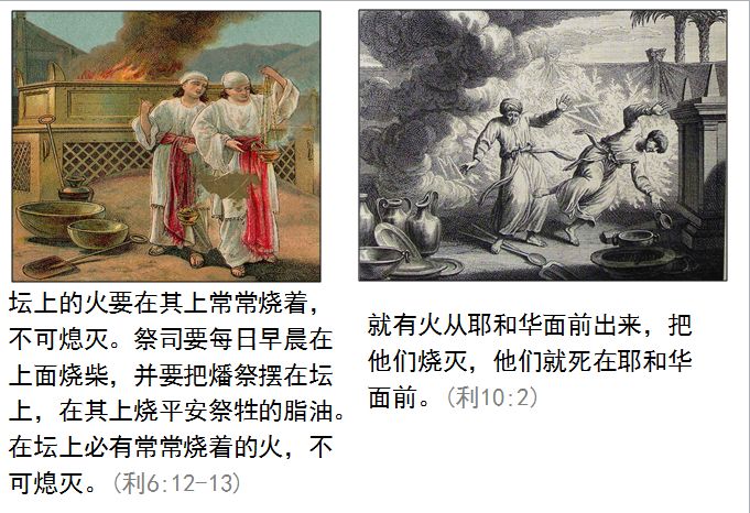 旧约圣经图表——利未记(图16) 旧约圣经图表——利未记(图16)