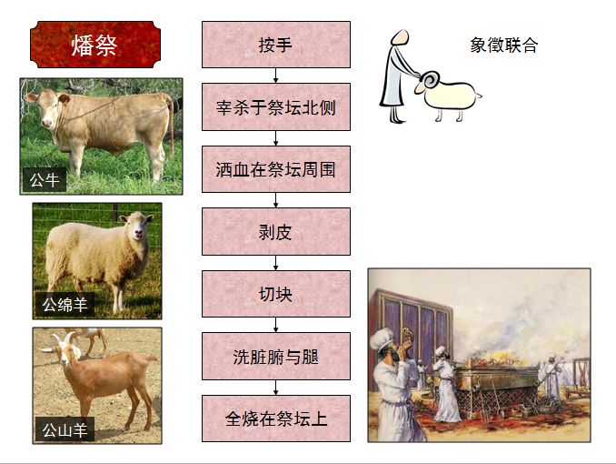 旧约圣经图表——利未记(图3) 旧约圣经图表——利未记(图3)