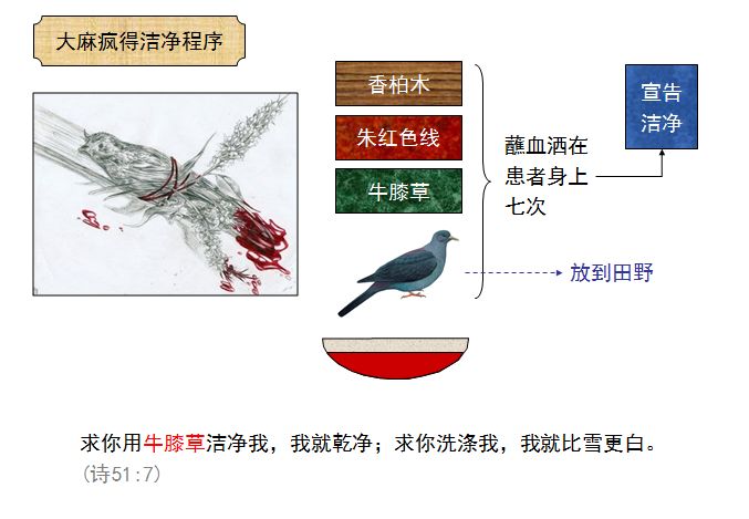 旧约圣经图表——利未记(图31) 旧约圣经图表——利未记(图31)