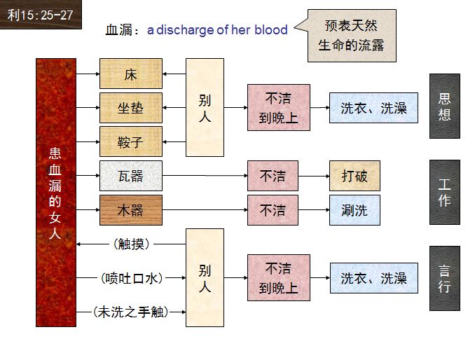 旧约圣经图表——利未记(图35) 旧约圣经图表——利未记(图35)