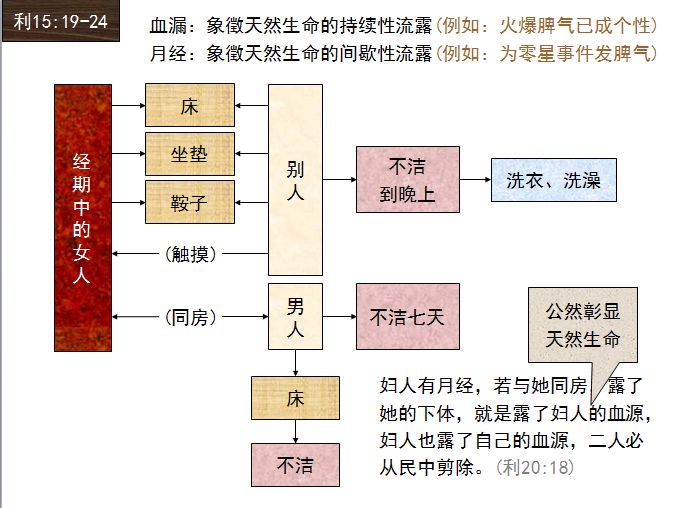 旧约圣经图表——利未记(图36) 旧约圣经图表——利未记(图36)