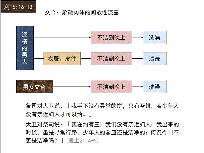 旧约圣经图表——利未记(图37) 旧约圣经图表——利未记(图37)