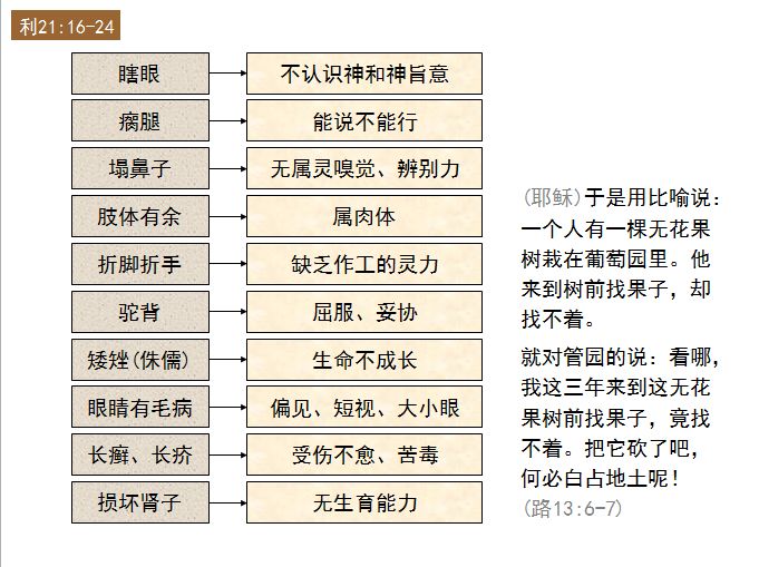 旧约圣经图表——利未记(图43) 旧约圣经图表——利未记(图43)