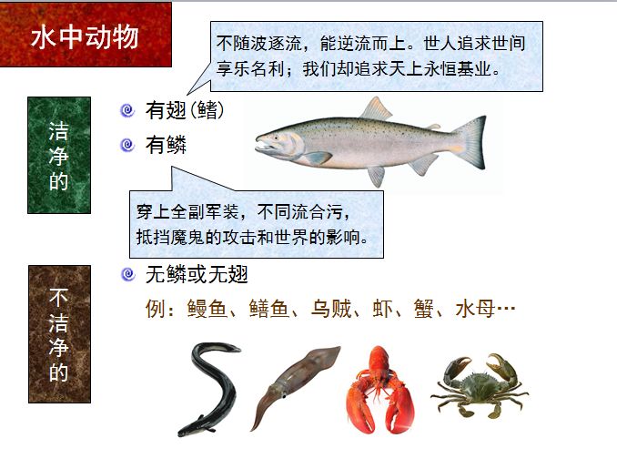 旧约圣经图表——利未记(图19) 旧约圣经图表——利未记(图19)
