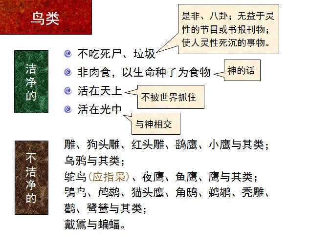 旧约圣经图表——利未记(图21) 旧约圣经图表——利未记(图21)