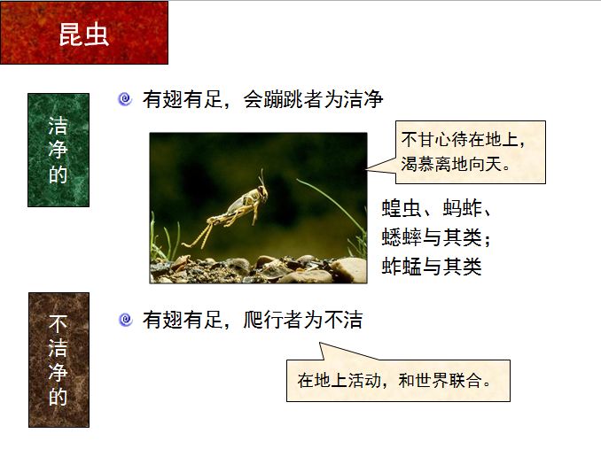 旧约圣经图表——利未记(图22) 旧约圣经图表——利未记(图22)