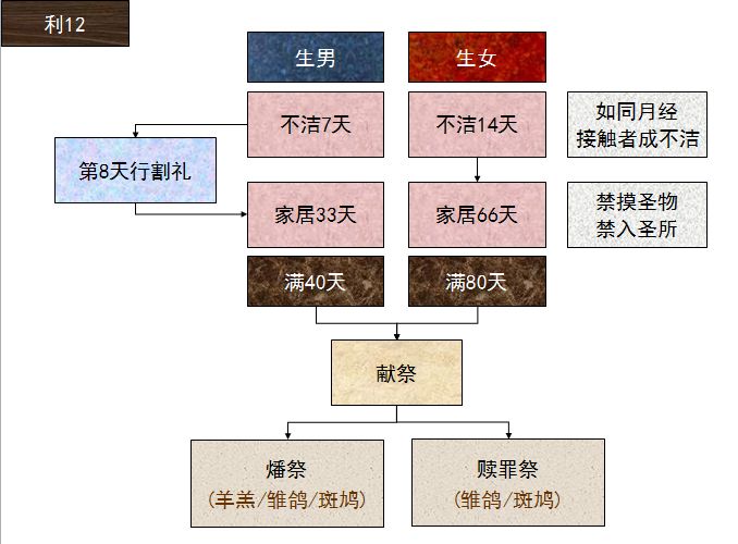 旧约圣经图表——利未记(图26) 旧约圣经图表——利未记(图26)