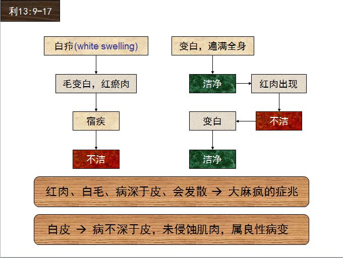 旧约圣经图表——利未记(图28) 旧约圣经图表——利未记(图28)