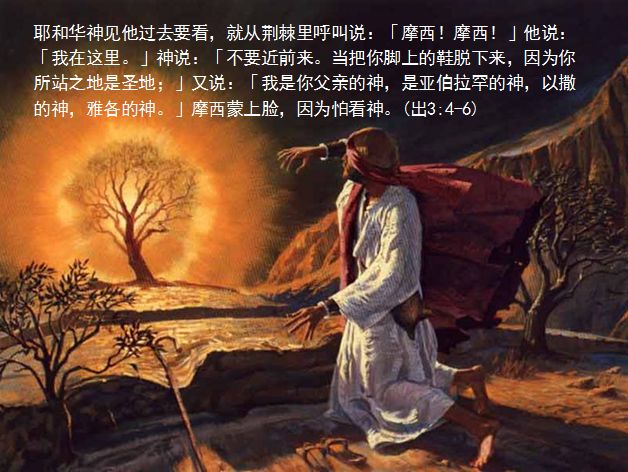 旧约圣经图表——出埃及记(图8) 旧约圣经图表——出埃及记(图8)