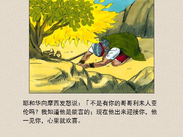 旧约圣经图表——出埃及记(图10) 旧约圣经图表——出埃及记(图10)