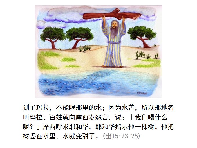 旧约圣经图表——出埃及记(图20) 旧约圣经图表——出埃及记(图20)