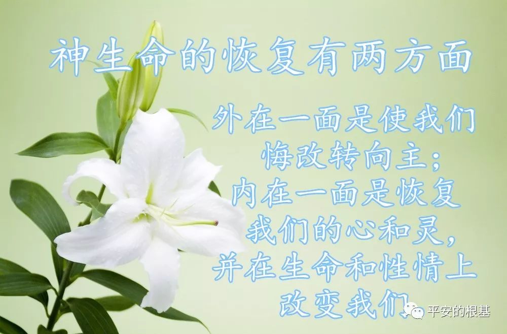 第五十二讲:以西结书(五)(图1) 第五十二讲:以西结书(五)(图1)