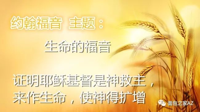 第二十二讲:约翰福音——生命与建造(图1) 第二十二讲:约翰福音——生命与建造(图1)