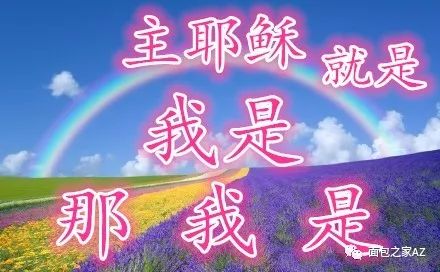 第三讲:马太福音—救主的所是(图1) 第三讲:马太福音—救主的所是(图1)