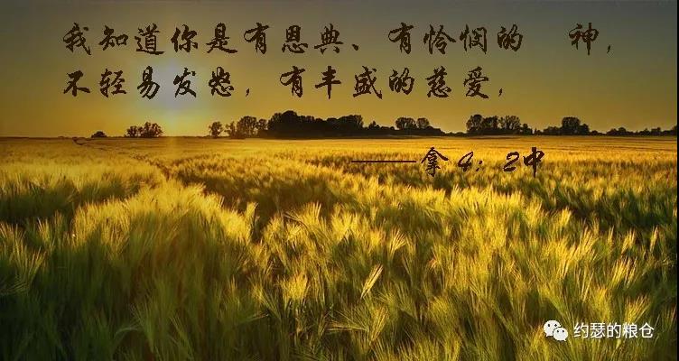 第六十二讲:约拿的成见(二)(图5) 第六十二讲:约拿的成见(二)(图5)